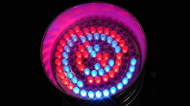 light-emitting-diodes-108431_640